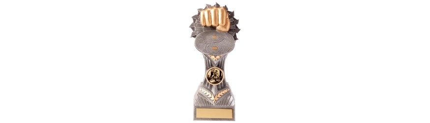 FALCON FIST MARTIAL ARTS RESIN TROPHY - 4 SIZES - 14CM - 24CM FALCON FIST MARTIAL ARTS RESIN TROPHY - 4 SIZES - 14CM - 24CM